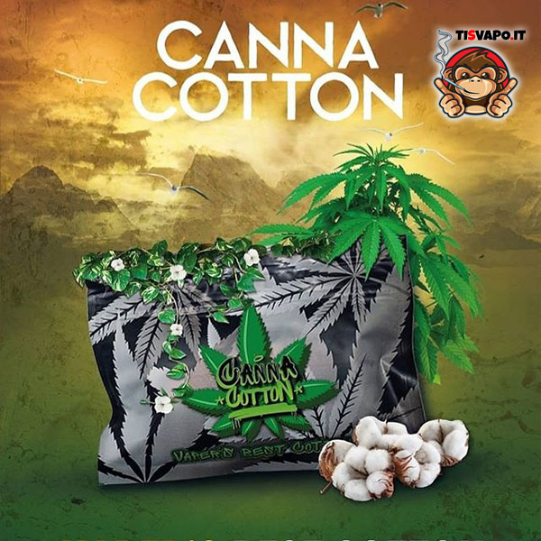 Canna Cotton - cotone di canapa